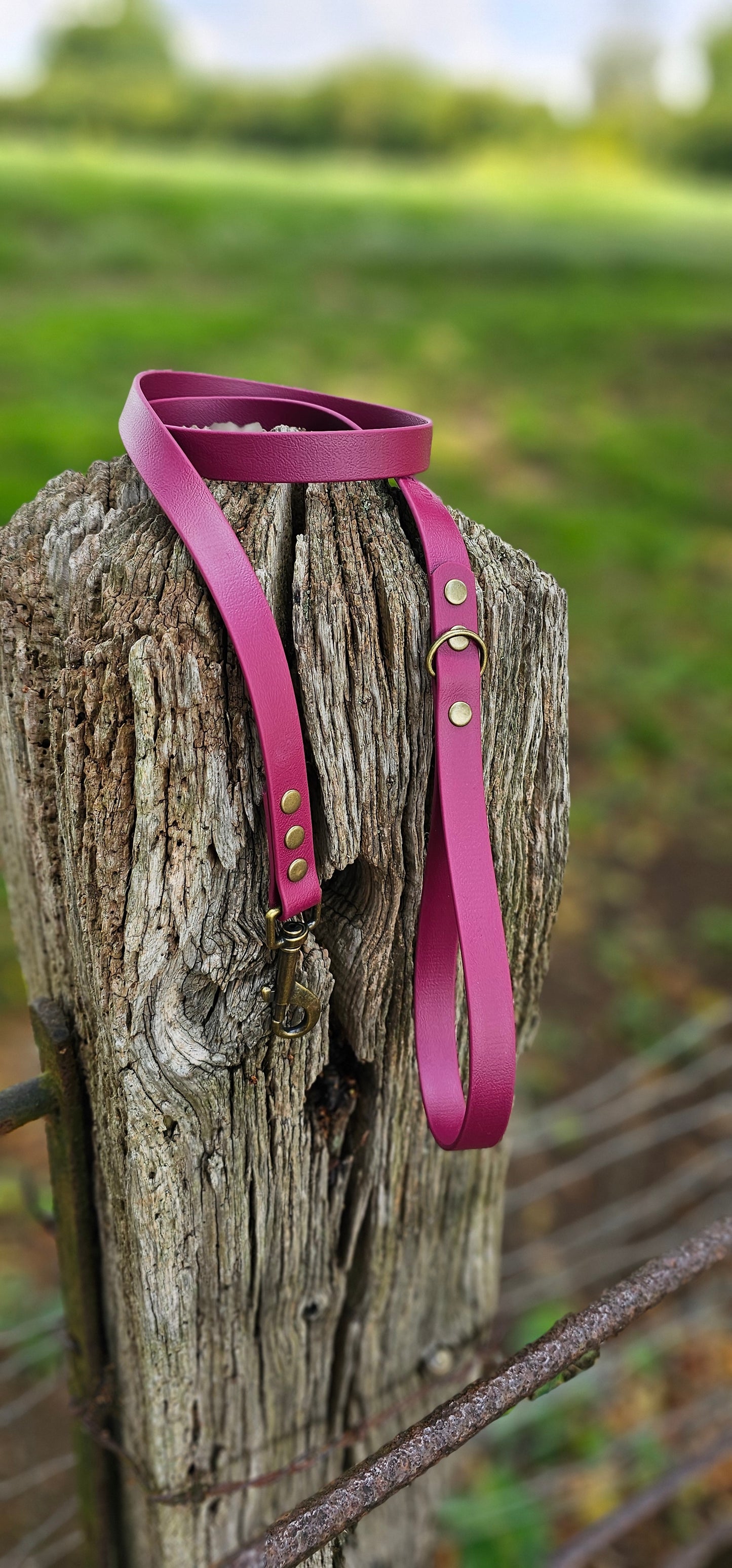 BURGUNDY - Waterproof BioThane© Dog Collar/Lead/Set/Bundle