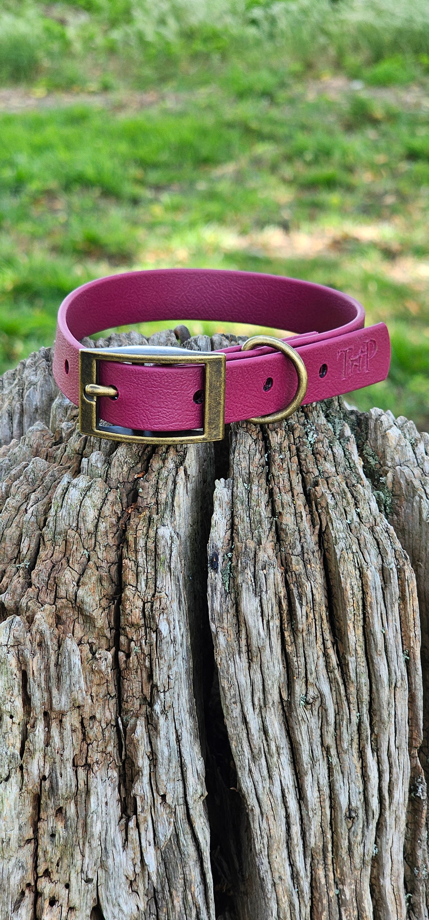 BURGUNDY - Waterproof BioThane© Dog Collar/Lead/Set/Bundle