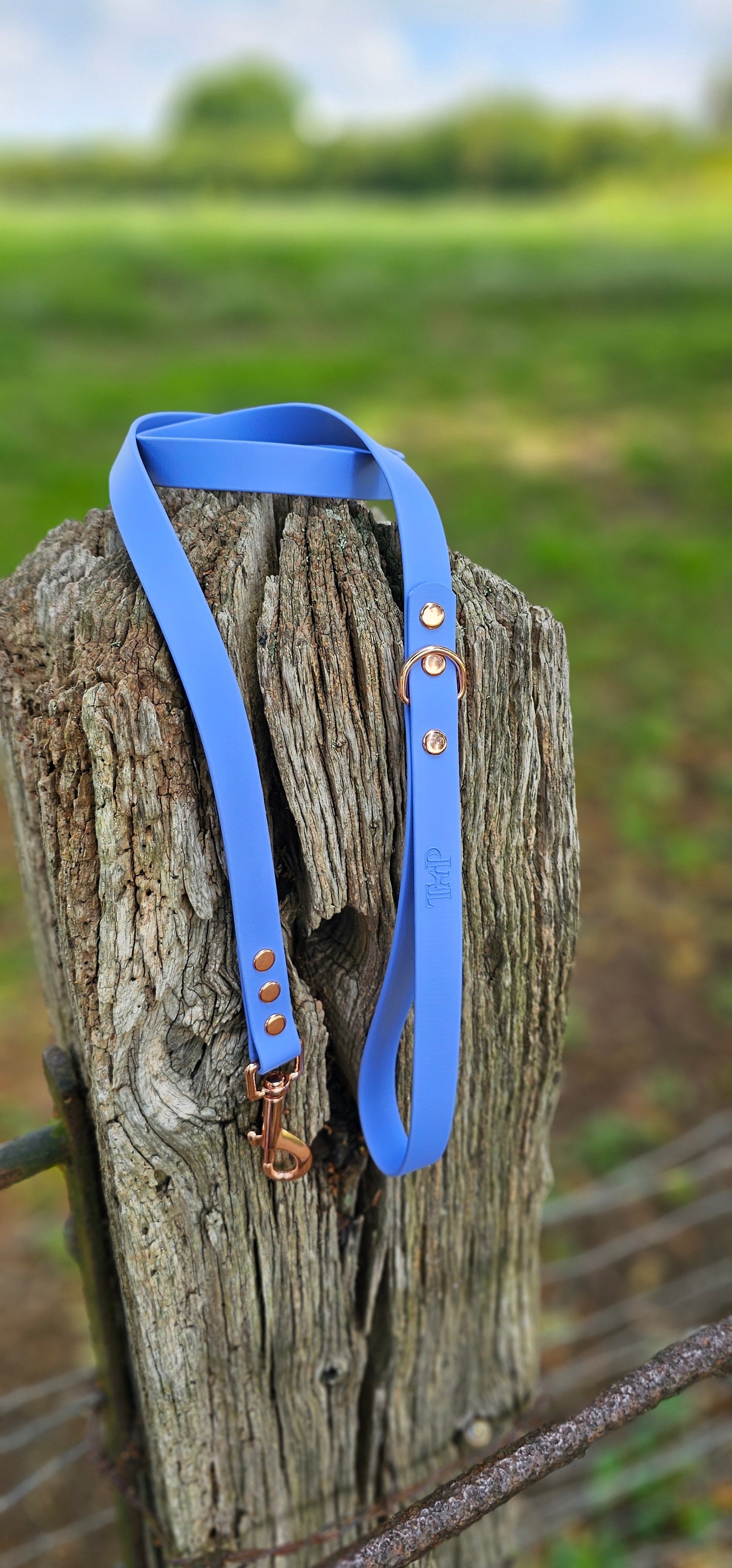 PERIWINKLE - Waterproof BioThane© Dog Collar/Lead/Set/Bundle