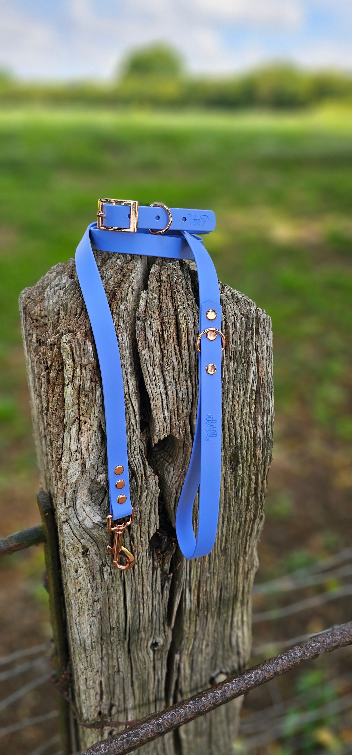 PERIWINKLE - Waterproof BioThane© Dog Collar/Lead/Set/Bundle