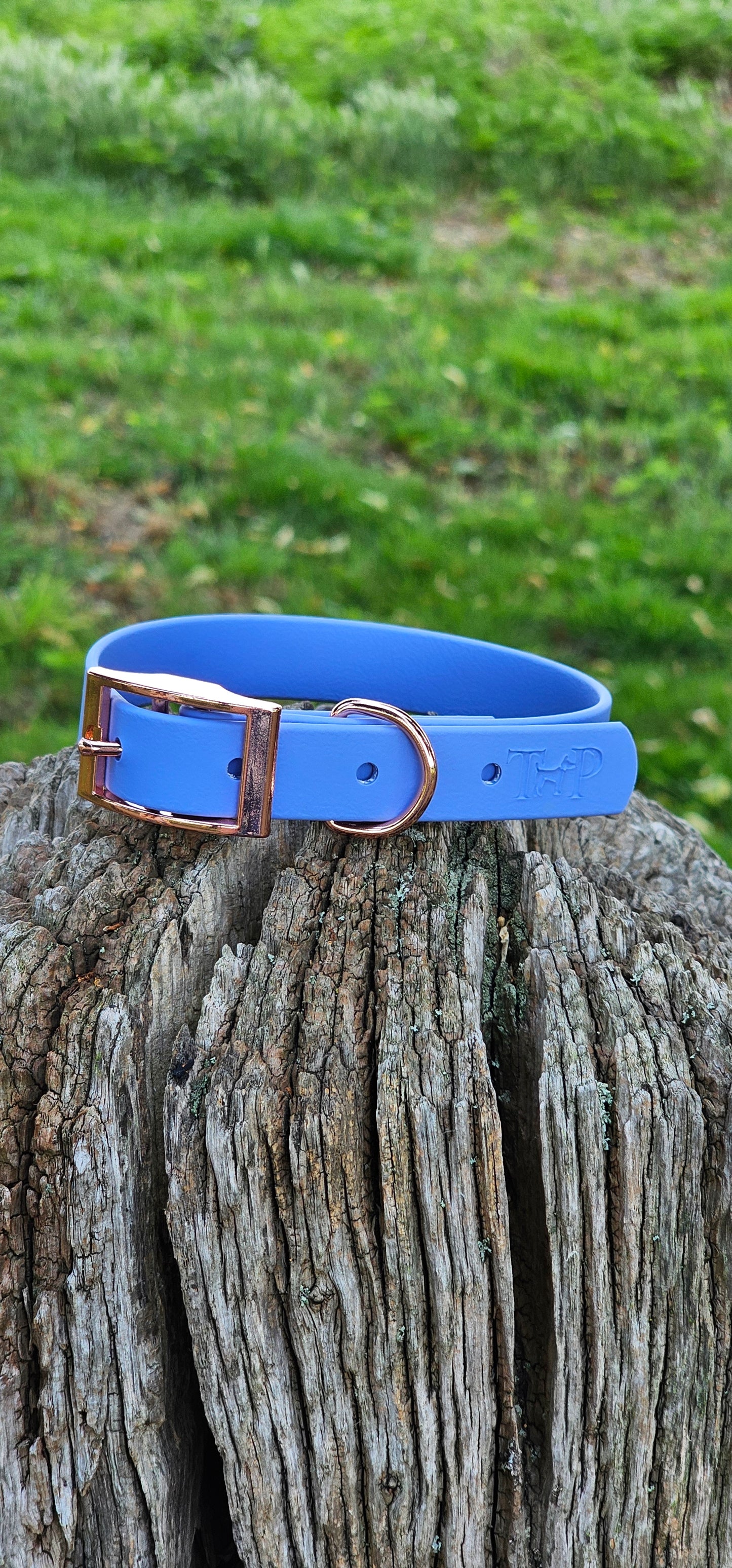 PERIWINKLE - Waterproof BioThane© Dog Collar/Lead/Set/Bundle