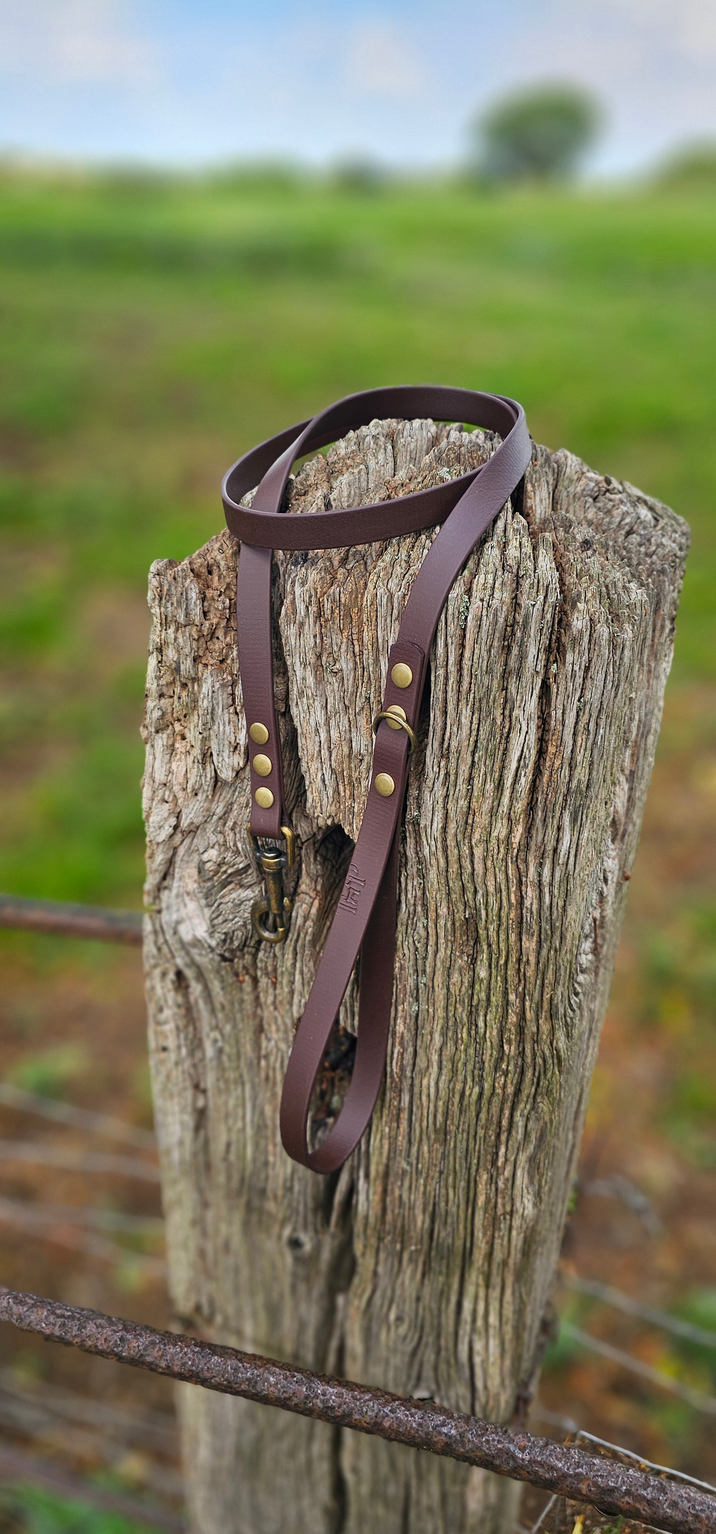 DARK BROWN - Waterproof BioThane© Dog Collar/Lead/Set/Bundle