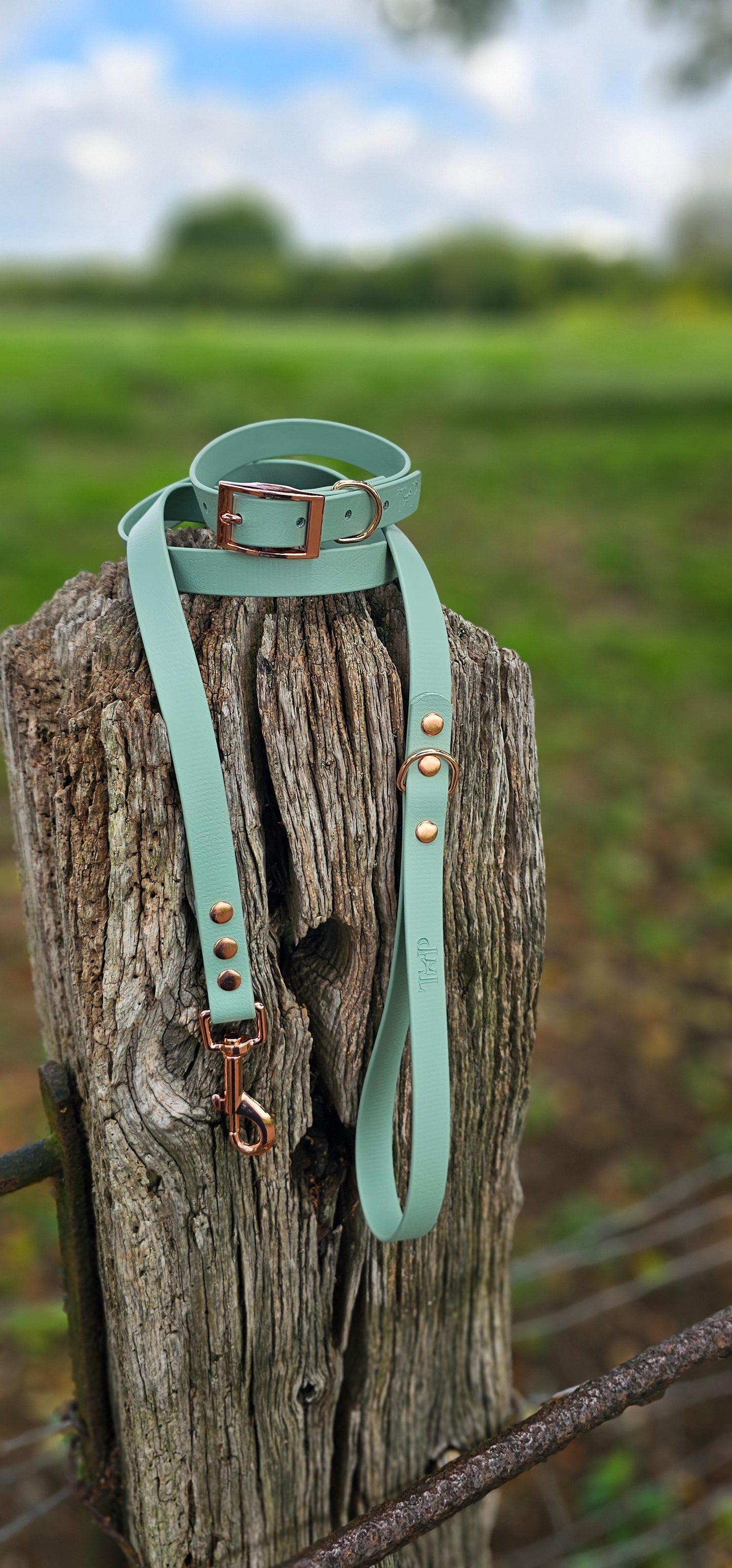 SAGE - Waterproof BioThane© Dog Collar/Lead/Set/Bundle