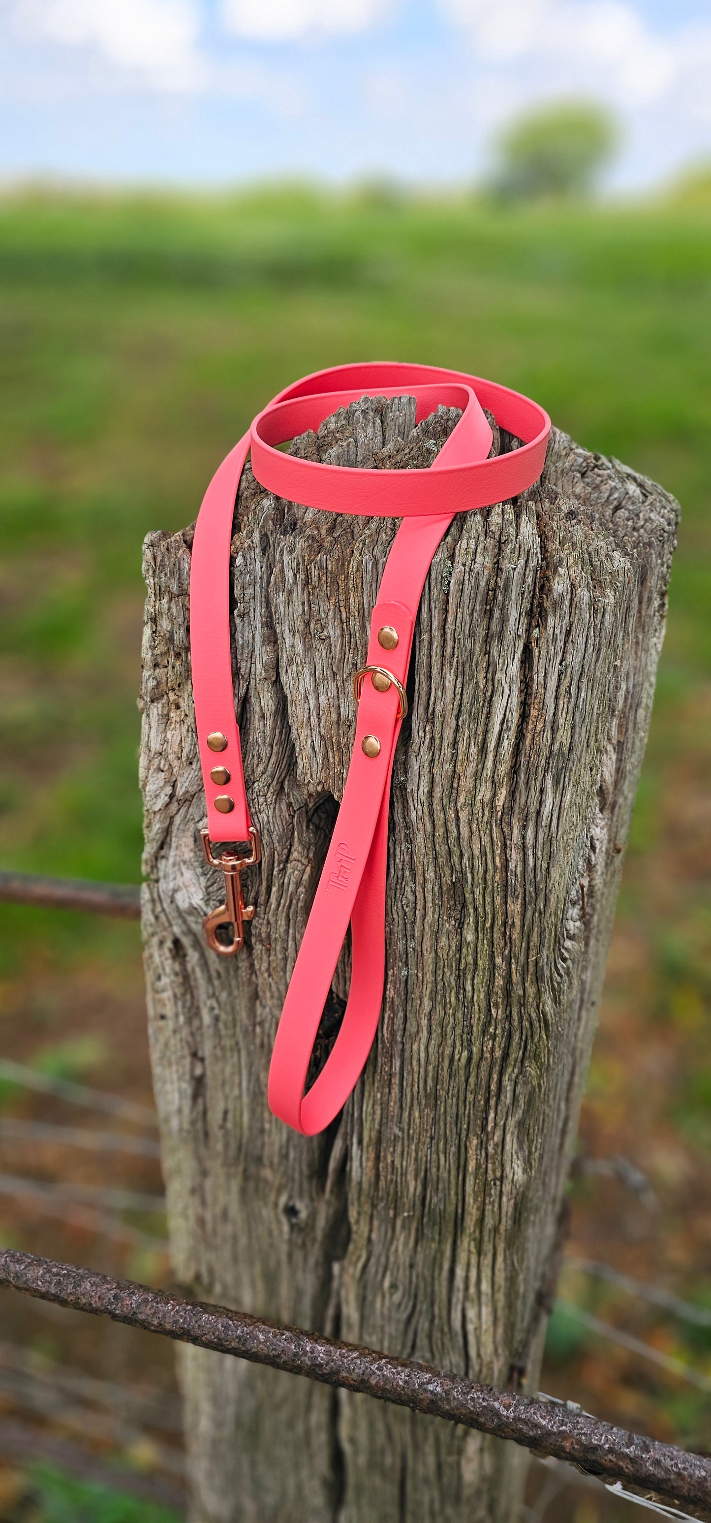 CORAL - Waterproof BioThane© Dog Collar/Lead/Set/Bundle