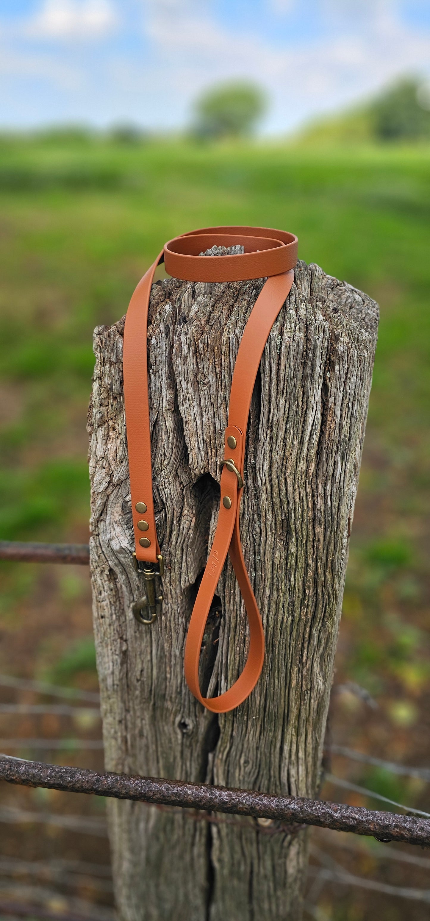 LIGHT BROWN - Waterproof BioThane© Dog Collar/Lead/Set/Bundle