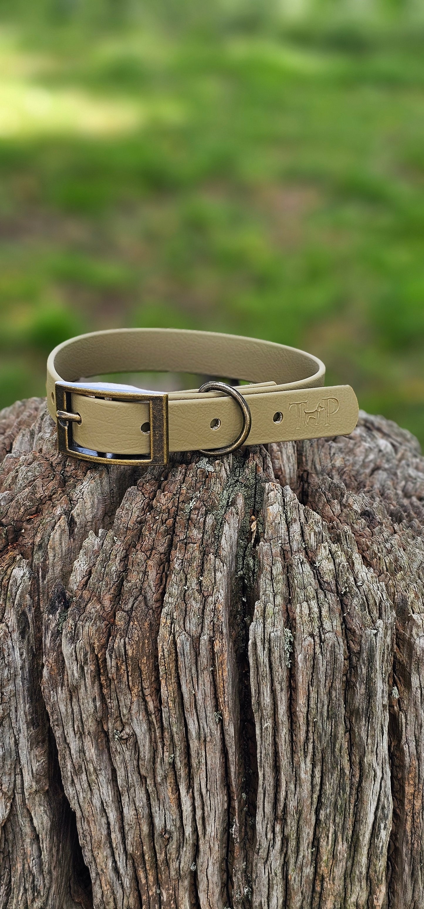 SANDSTONE - Waterproof BioThane© Dog Collar/Lead/Set/Bundle