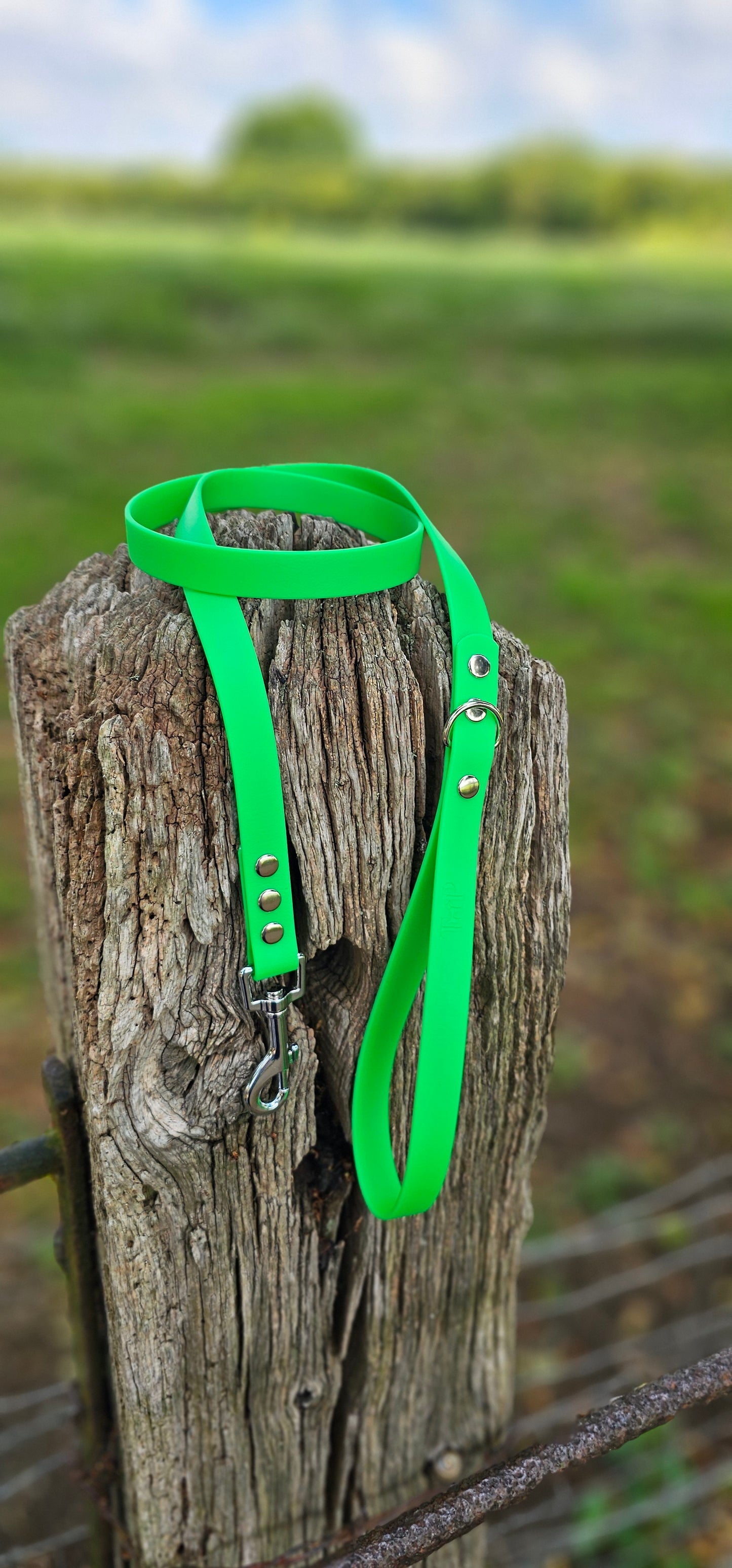 NEON GREEN - Waterproof BioThane© Dog Collar/Lead/Set/Bundle