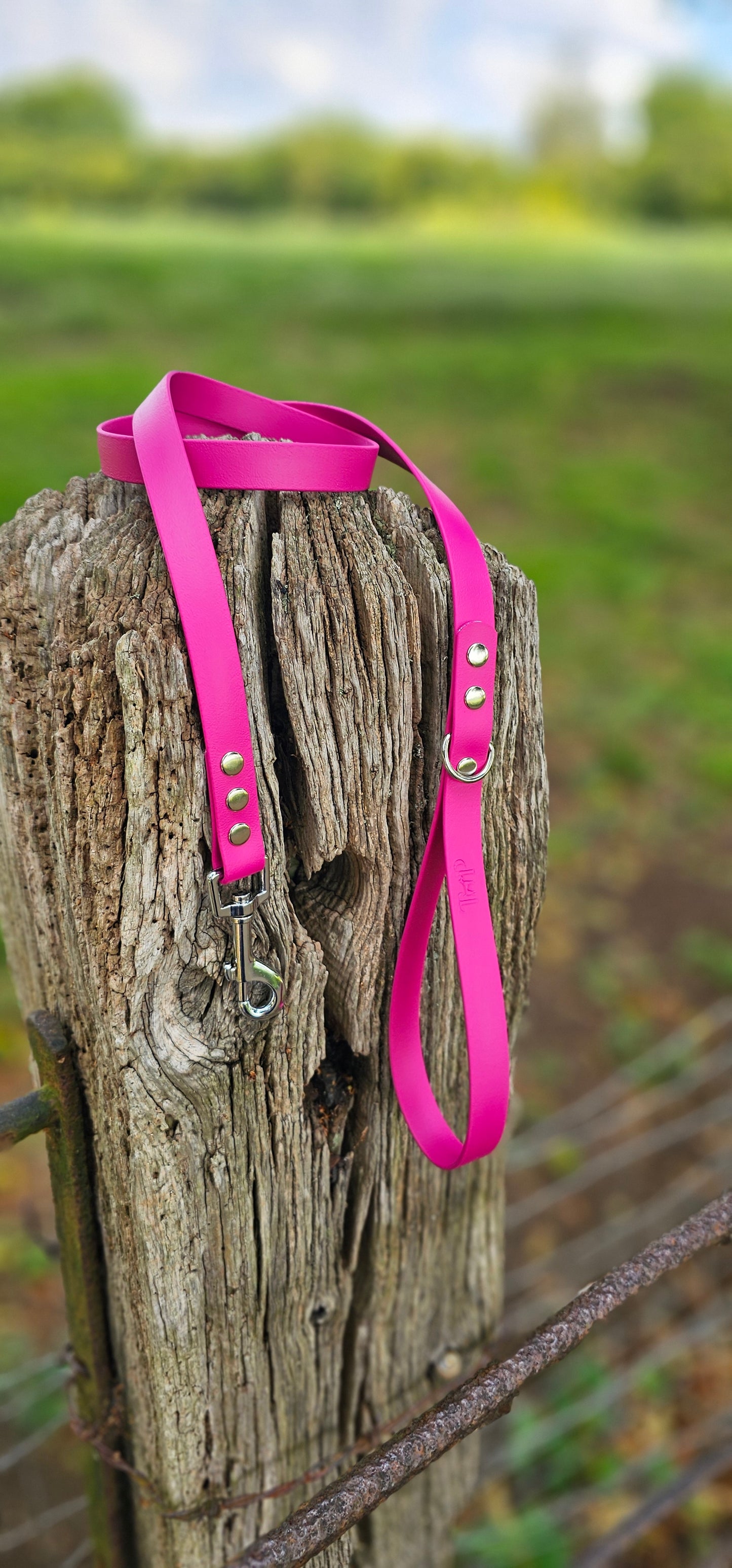 MAGENTA - Waterproof BioThane© Dog Collar/Lead/Set/Bundle