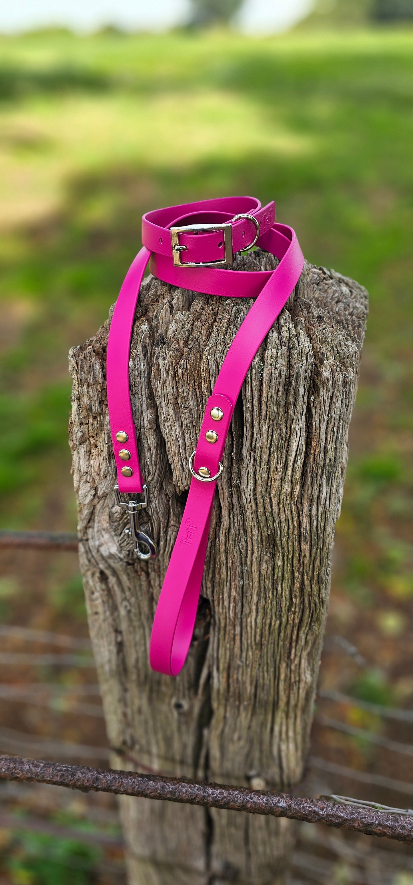 MAGENTA - Waterproof BioThane© Dog Collar/Lead/Set/Bundle