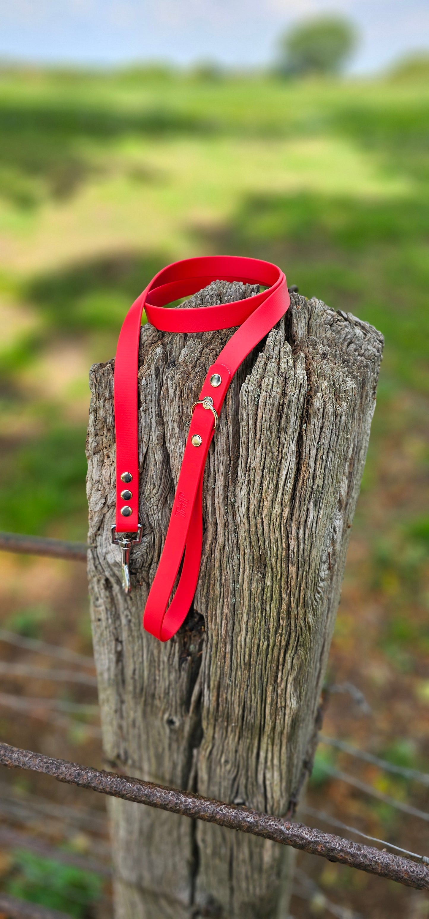 RED - Waterproof BioThane© Dog Collar/Lead/Set/Bundle
