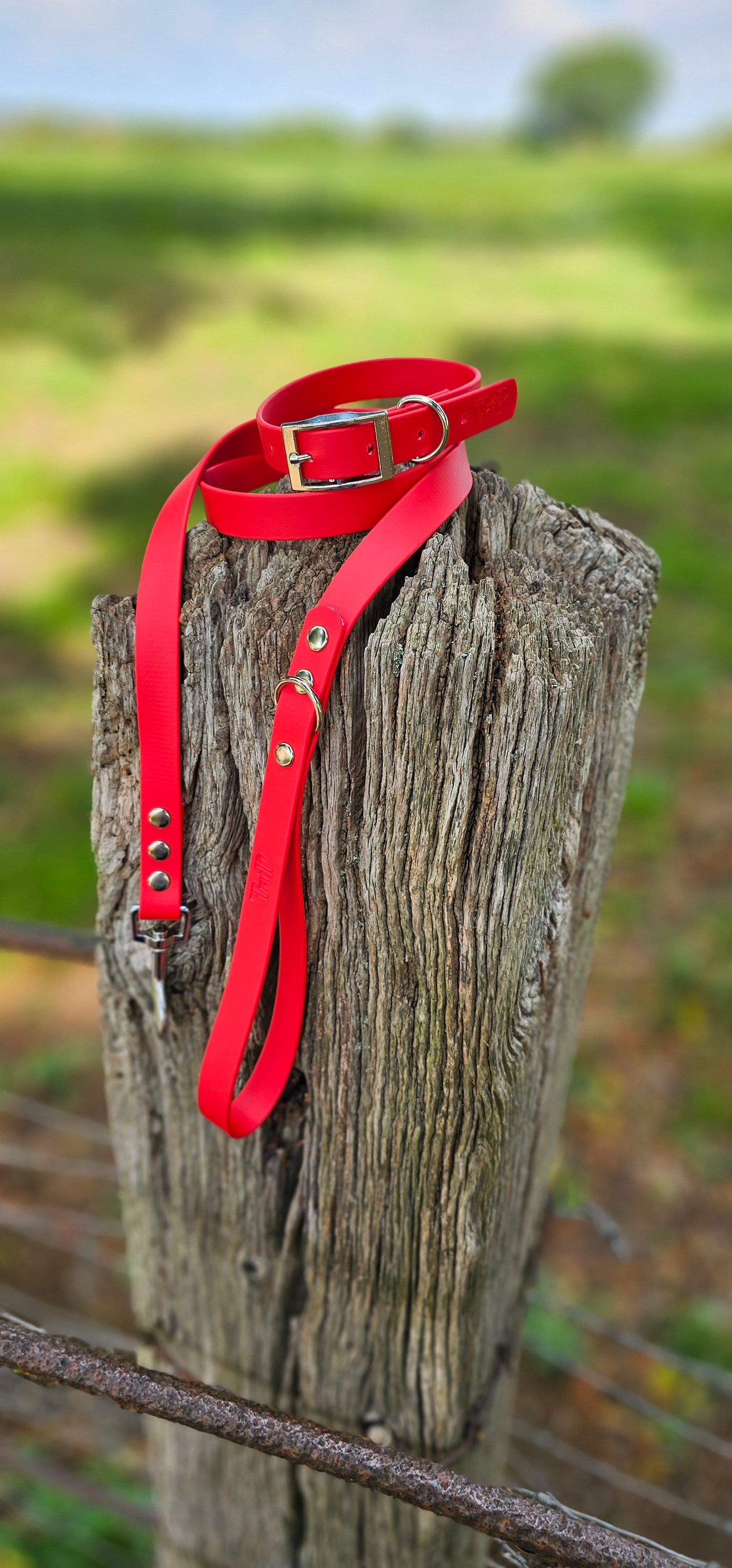 RED - Waterproof BioThane© Dog Collar/Lead/Set/Bundle