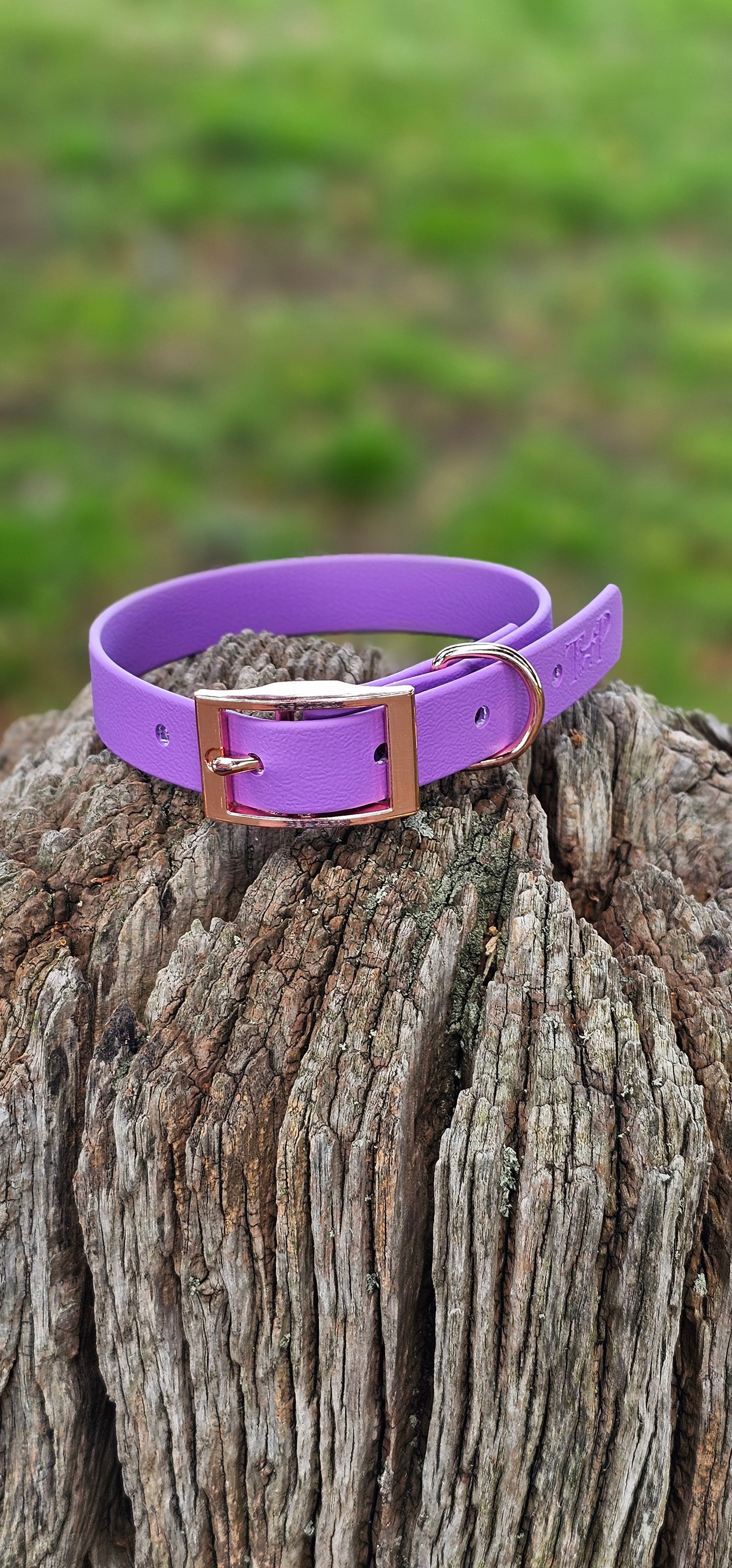 AMETHYST - Waterproof BioThane© Dog Collar/Lead/Set/Bundle