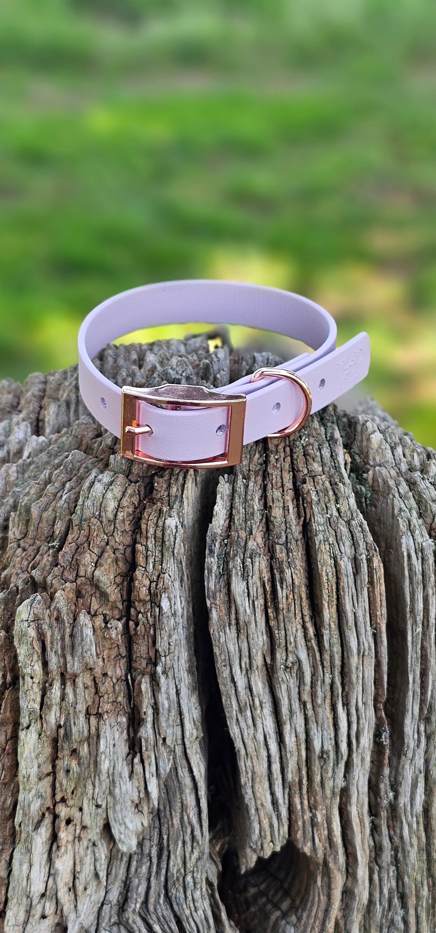 LILAC - Waterproof BioThane© Dog Collar/Lead/Set/Bundle