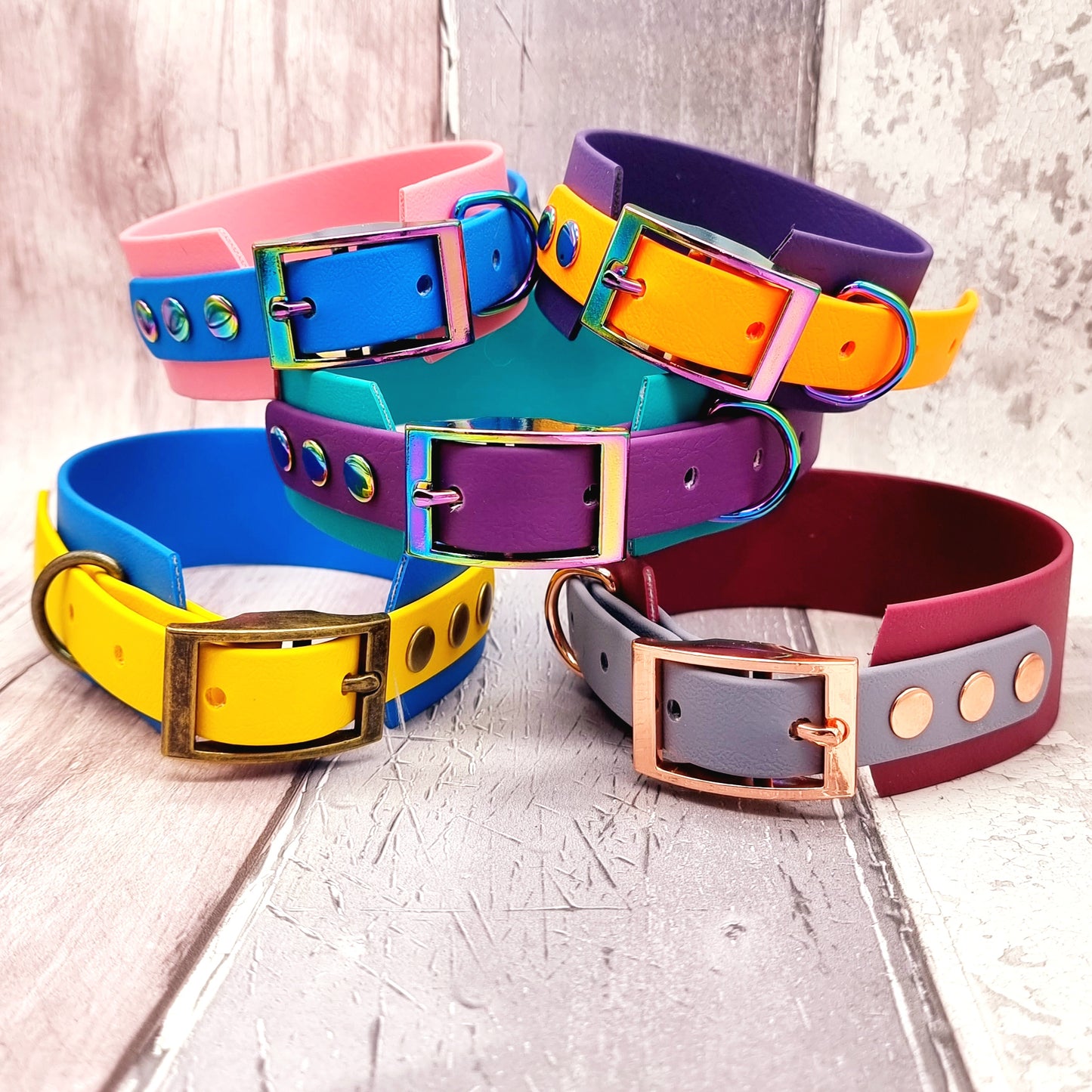 Waterproof BioThane© Sighthound Collars - Design Your Own