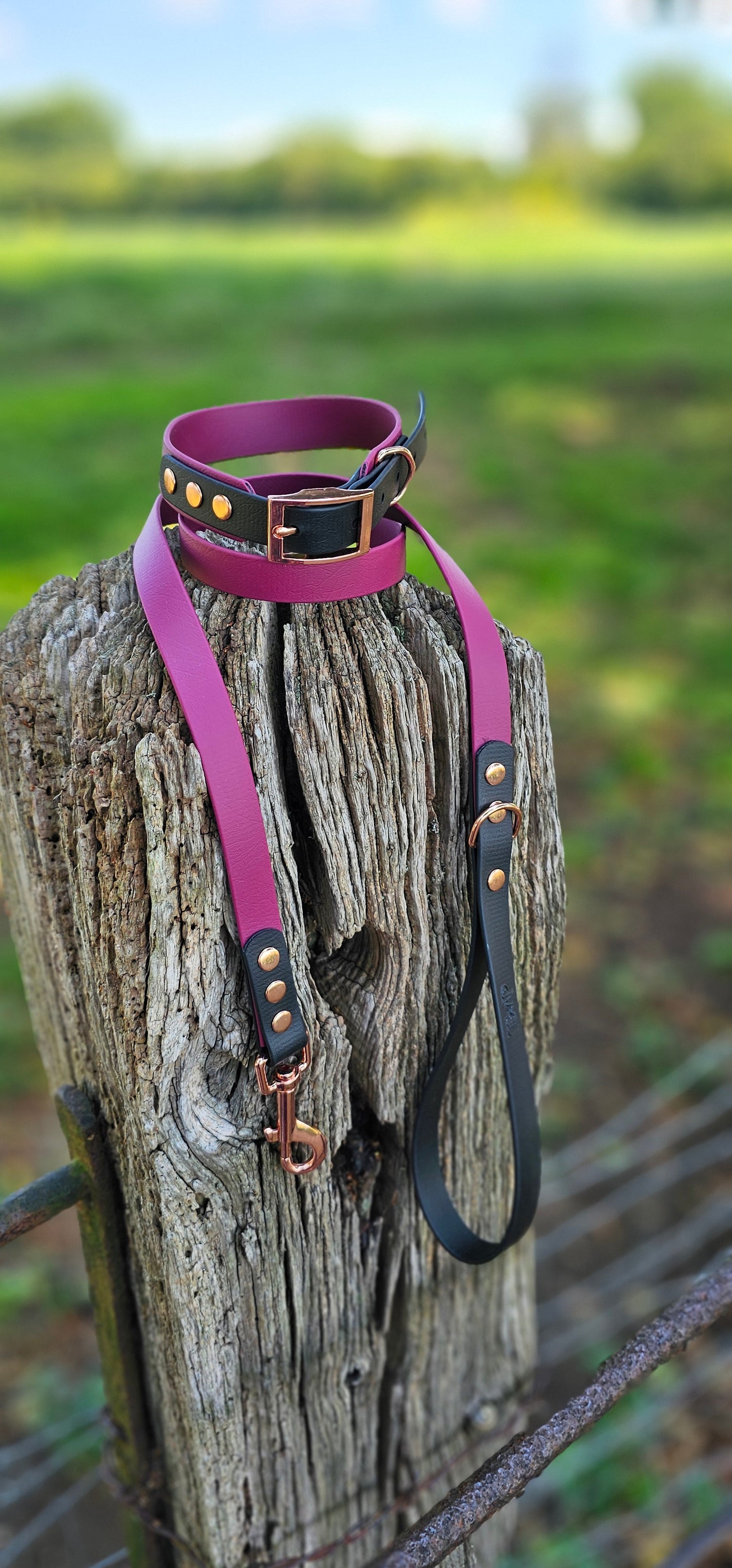 BURGUNDY / BLACK - Waterproof BioThane© 2-coloured Dog Collar/Lead/Set/Bundle