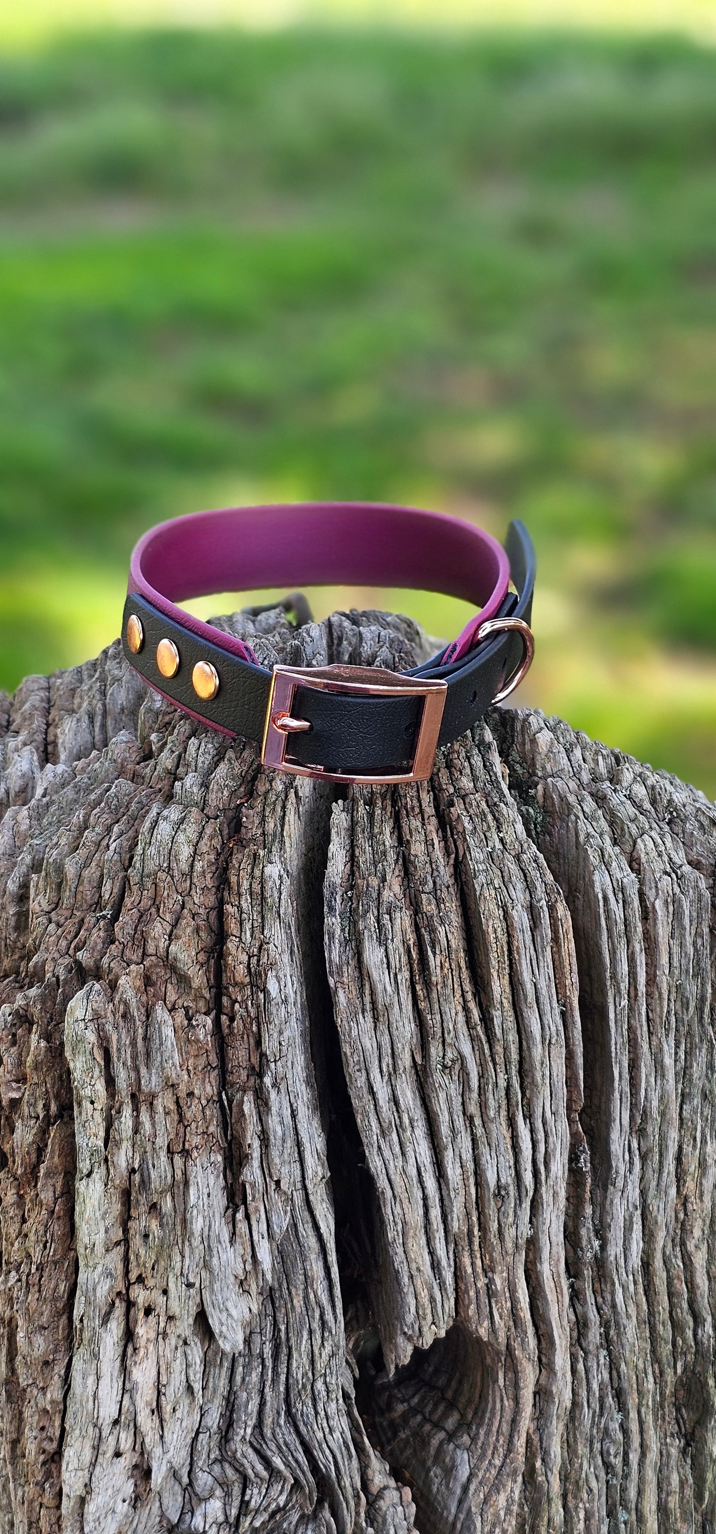 BURGUNDY / BLACK - Waterproof BioThane© 2-coloured Dog Collar/Lead/Set/Bundle