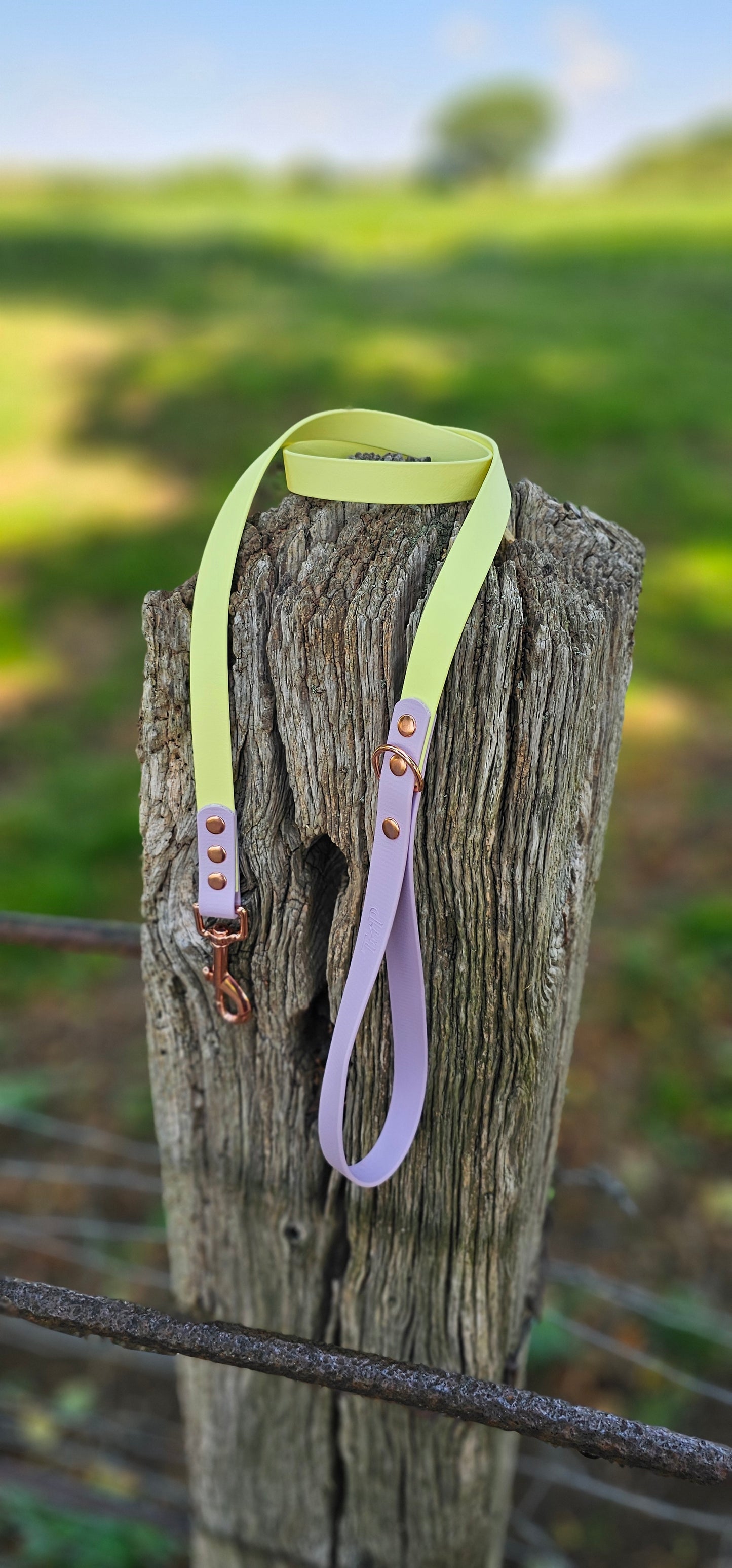 LEMON / LILAC - Waterproof BioThane© 2-coloured Dog Collar/Lead/Set/Bundle