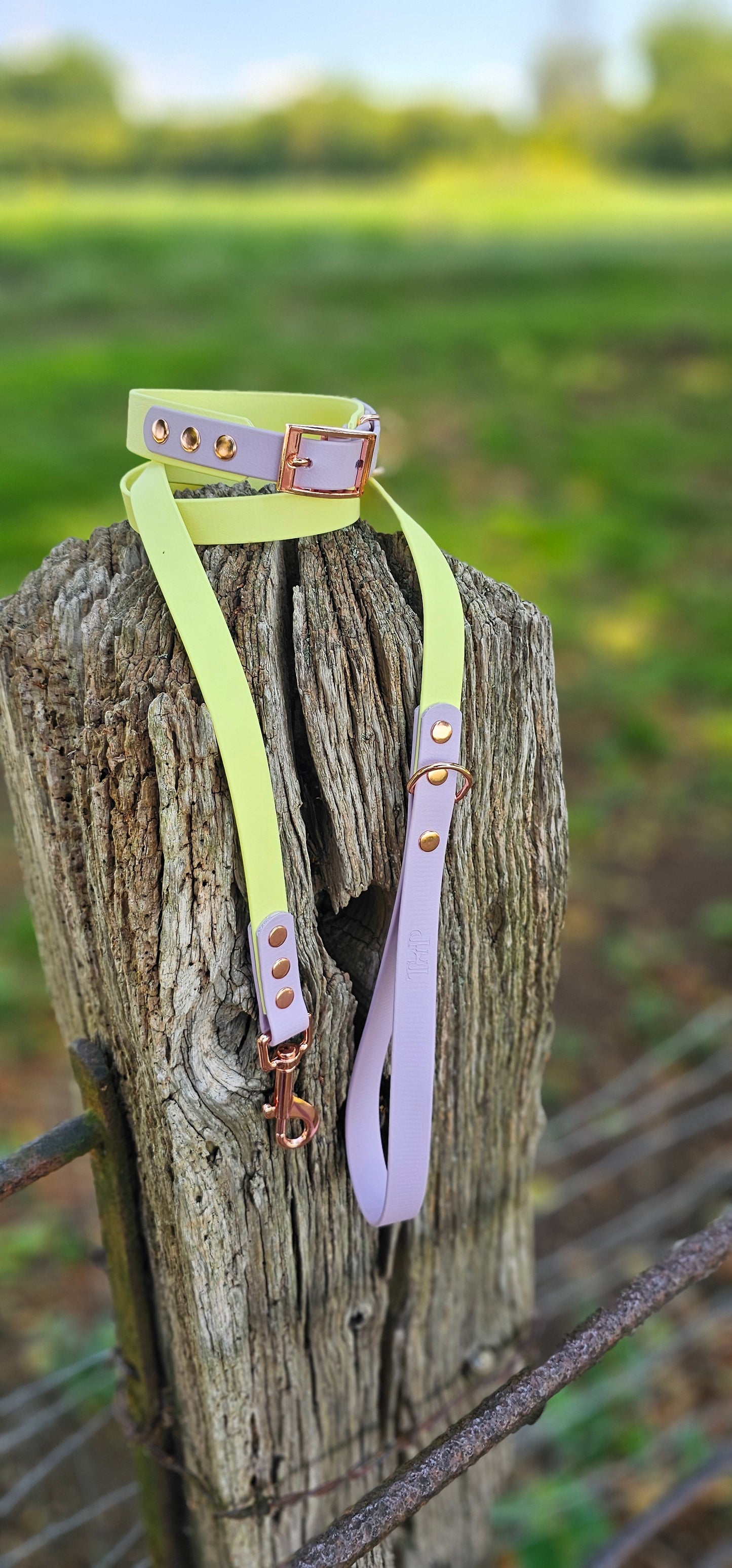 LEMON / LILAC - Waterproof BioThane© 2-coloured Dog Collar/Lead/Set/Bundle