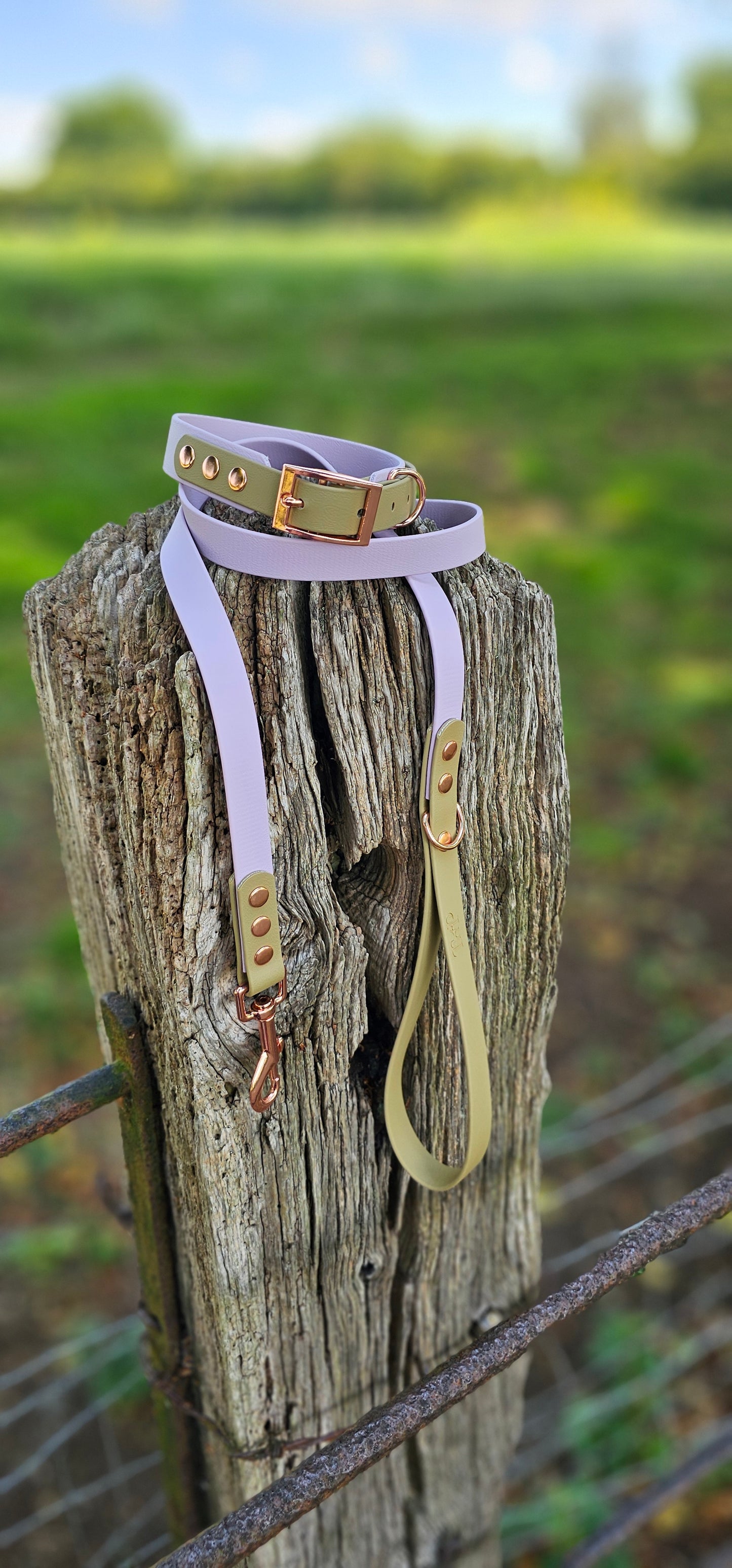 LILAC / SANDSTONE - Waterproof BioThane© 2-coloured Dog Collar/Lead/Set/Bundle