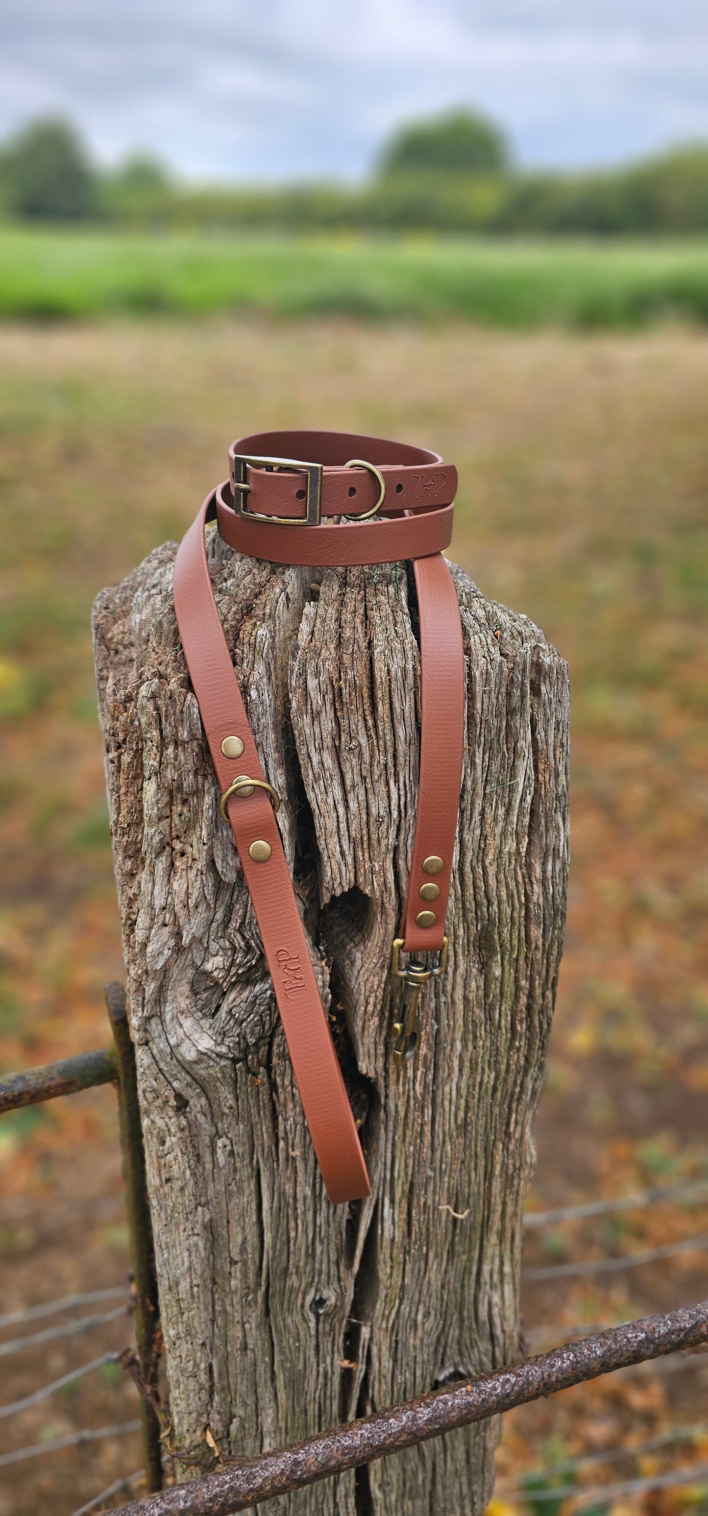 BROWN - Waterproof BioThane© Dog Collar/Lead/Set/Bundle