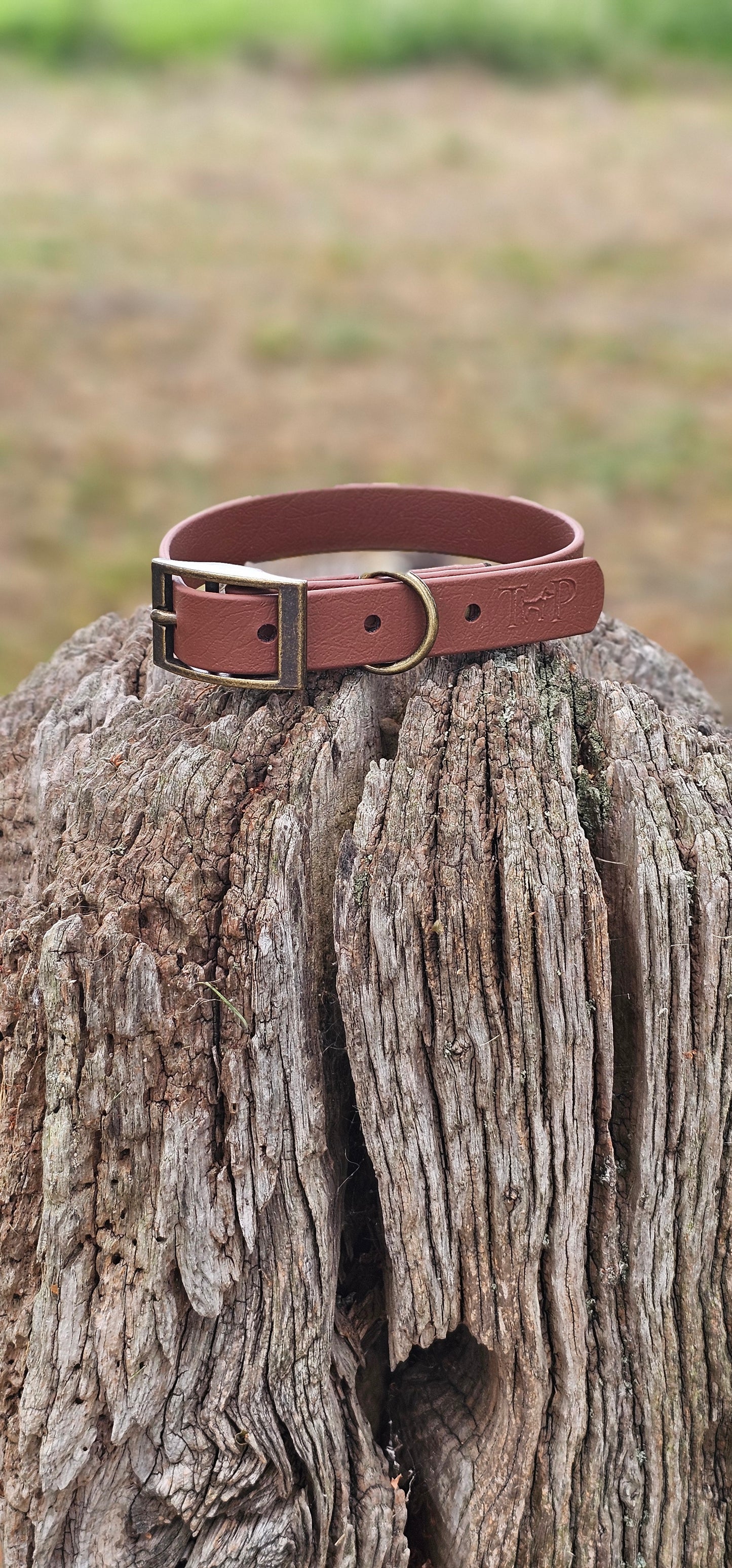 BROWN - Waterproof BioThane© Dog Collar/Lead/Set/Bundle